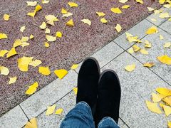 -重庆市江北嘴中央商务区中央公园