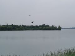 -丁香湖公园