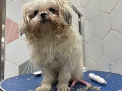 -瑞鹏宠物医院(大运分院)