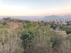 -飞凤山奥体公园