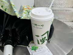 -一树一叶·福建茶档(石鼓路店)