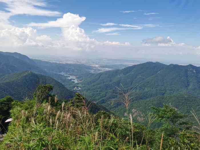 银瓶山森林公园-"自驾去的,如果需要坐公共交通需要自己查一.