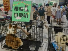 -凯德广场(武胜路店)