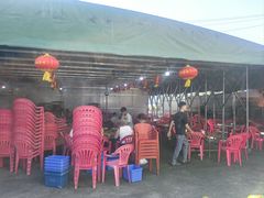 -霞姐屯昌枫木香草鸭店(海螺店)