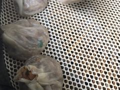 -家阳赵师傅油饼包烧麦(粮道街店)