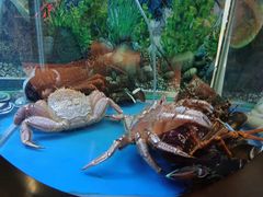 -辉哥火锅(虹桥路店)