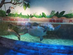 -石家庄海洋公园