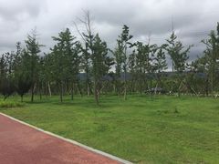 -羊亭河湿地公园