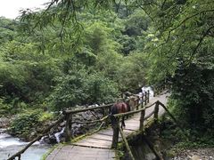 -西岭雪山大飞水景区