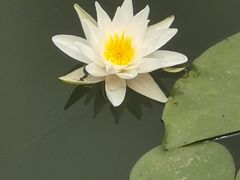 -长春公园(普阳街道)