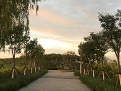 -天津东丽湖风景区