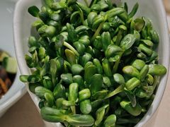 -浩爷羊蝎子火锅(望京店)