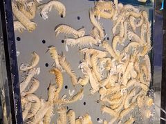-海天盛宴潮汕蒸汽海鲜高端自助形象店