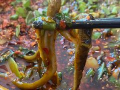 -乐山第一家临江鳝丝(茶坊路店)