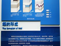 -安徽省地质博物馆