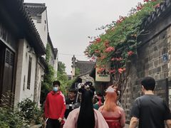 -两棵枇杷树