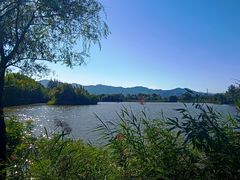 -翠湖国家城市湿地公园