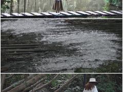 -燕晗山郊野公园