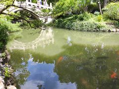 -上海醉白池公园