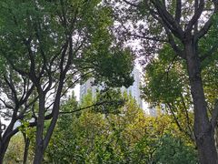 -证大大拇指广场(芳甸路店)