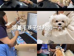 -御宝贝24h宠物医院·转诊中心·CT核磁血透中心(厦门总院)