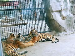 -南昌动物园