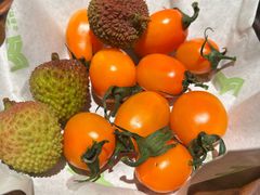 -季季山·云南野生菌火锅(上海首店)