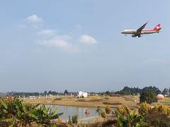 -空港花田景区