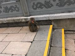 -句容茅山景区