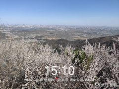 -香山公园