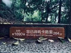 -西湖风景区十里琅珰-五云山