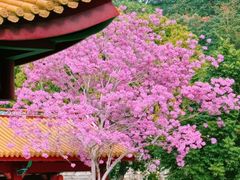 -天竺岩寺