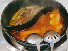 -蜀皇·菌汤鲜黄牛肉汤锅(宽窄巷子店)