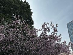 -上海宝华万豪酒店