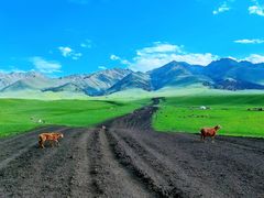 -新疆那拉提国家旅游度假区