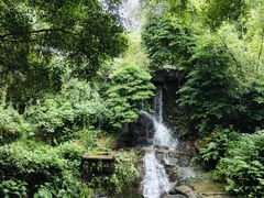 -大雁山风景区