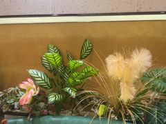 -九孔·筒骨莲藕汤锅(大明宫万达店)