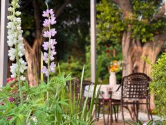 -海心沙亚运公园