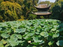 -三苏祠