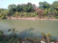 -白马涧龙池景区