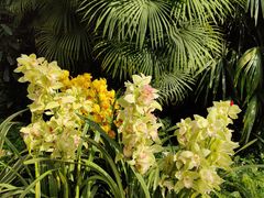 -北京植物园-展览温室