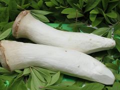 杏鲍菇-三石手撕老母鸡锅中锅(香君路店)