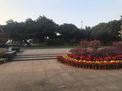 -万绿园