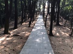 -火炉山森林公园