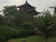 -西安青龙寺遗址景区