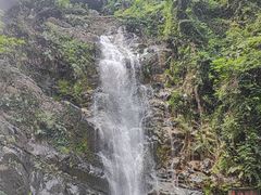 -鼎湖山风景区