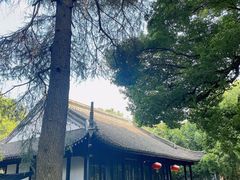 -绍兴鲁迅故里·沈园景区