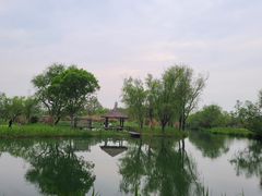 -西溪国家湿地公园