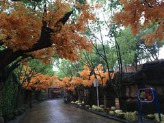 -横店影视城梦幻谷园区