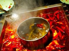 经典红锅-蜀江龙火锅(339店)